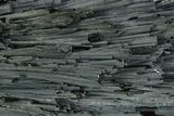 Black Tourmaline (Schorl) Crystal Cluster - Namibia #363673-2